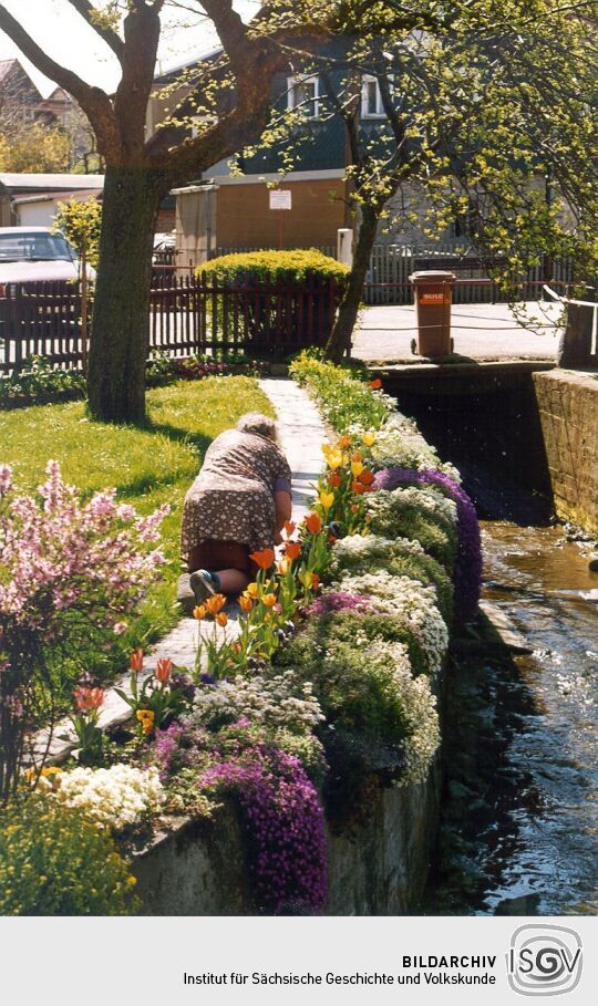 Garten in Obercunnersdorf