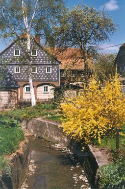 Bild: Dorfbach in Obercunnersdorf