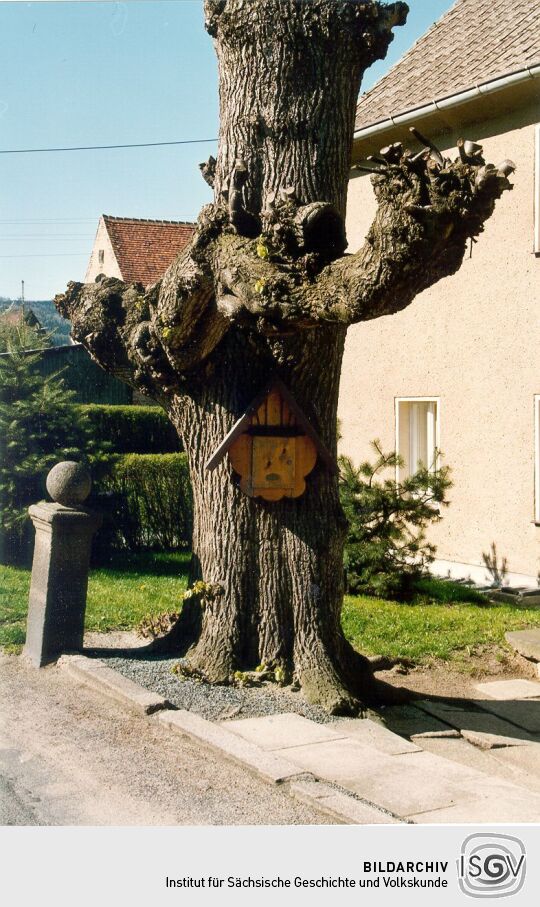 Briefkasten an einer Linde an der Dorfstraße in Obercunnersdorf