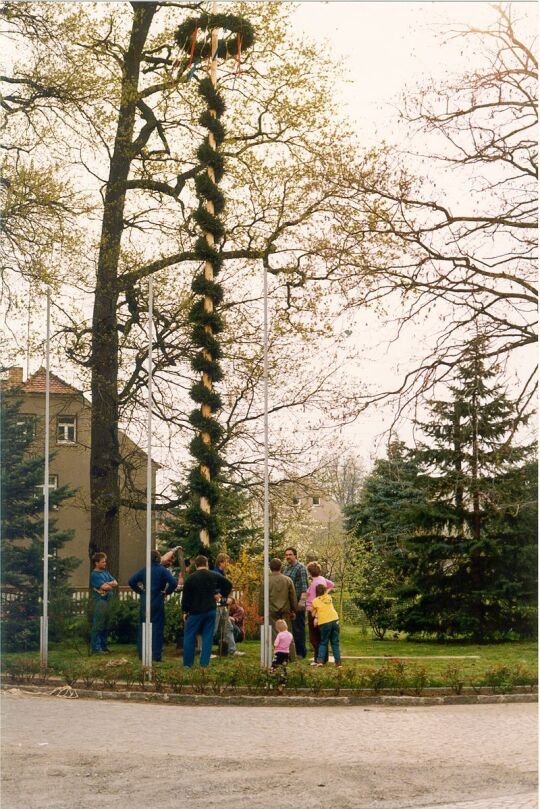 Maibaum auf dem Dorfplatz in Zschornau