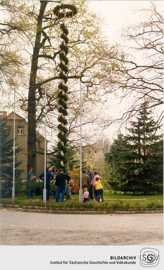 Maibaum auf dem Dorfplatz in Zschornau