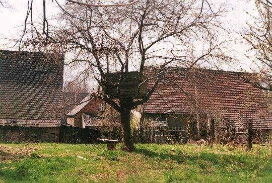 Ein Baumhaus in Dreiskau