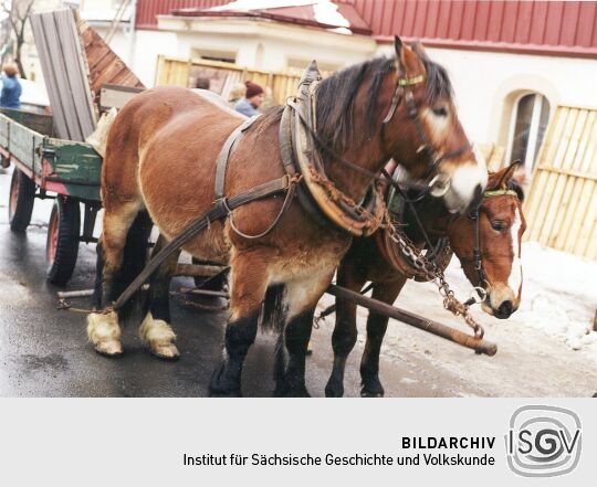 Ein Pferdewagen in Altenberg