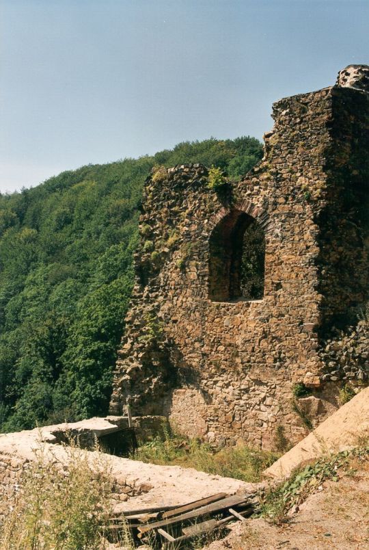 Burgruine in Tharandt