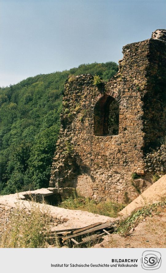 Burgruine in Tharandt