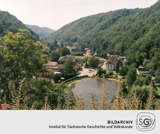 Blick von der Burg auf Tharandt