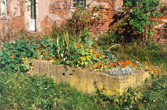 Garten in Pülswerda