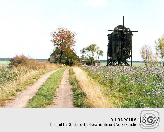 Alte Bockwindmühle in Nichtewitz