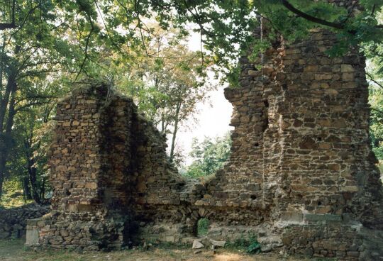 Wüstes Schloss Osterland in Thalheim