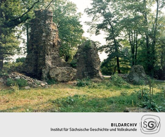 Wüstes Schloss Osterland in Thalheim