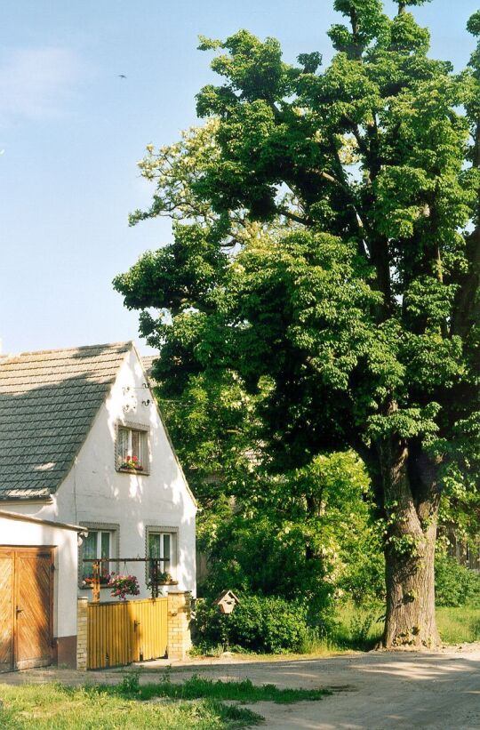 Wohnhaus in der Beckwitzer Thälmannstrasse