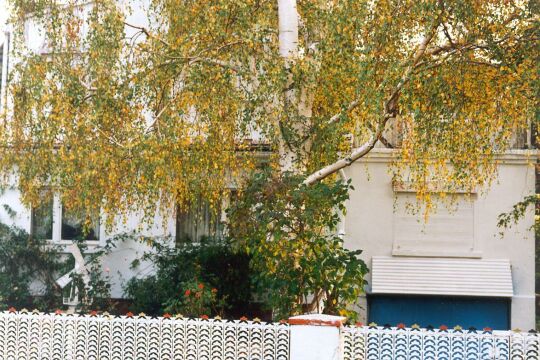 Renoviertes Wohnhaus in der Lindenstrasse in Welsau