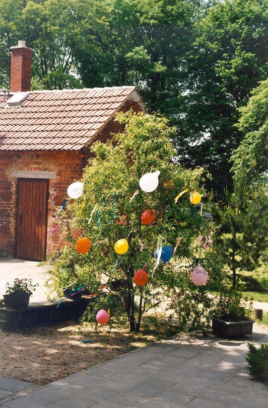 Geschmückter Baum im Schul- Kindergarten in Sitzenroda