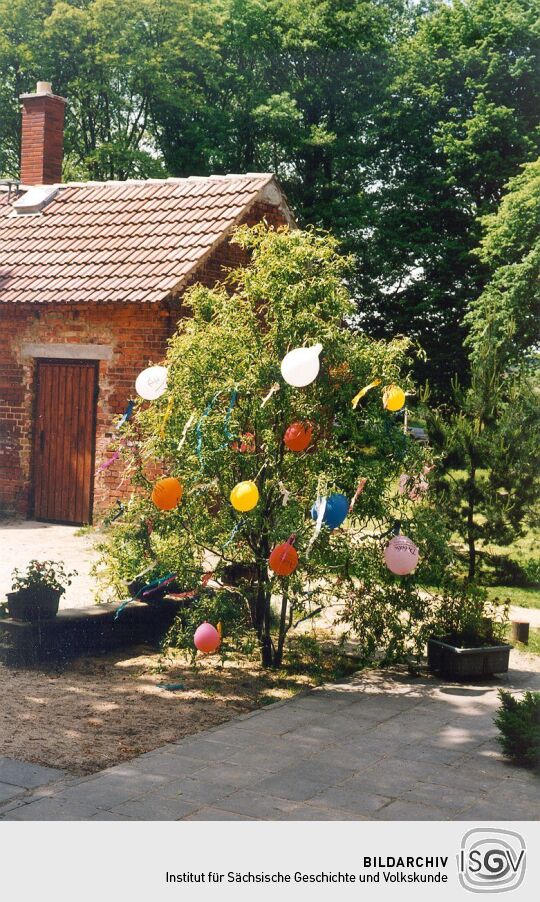 Geschmückter Baum im Schul- Kindergarten in Sitzenroda