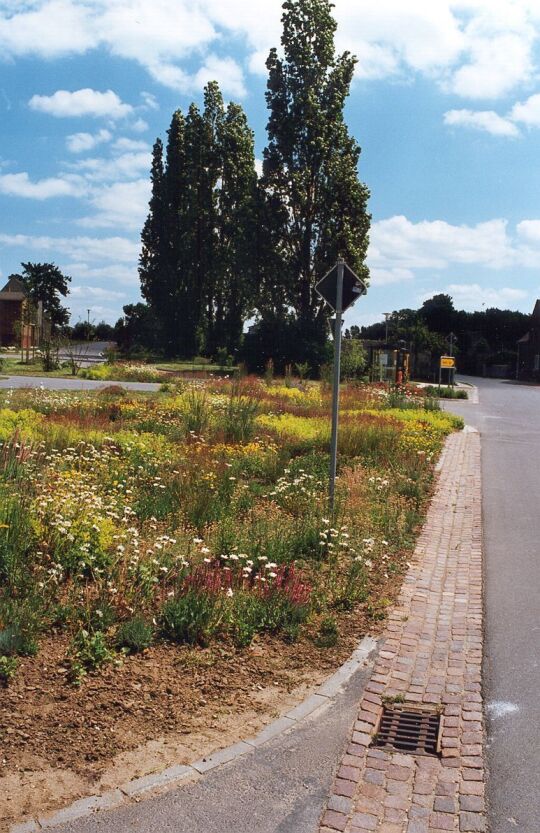 Straße in Sausedlitz