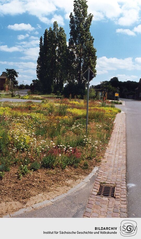 Straße in Sausedlitz