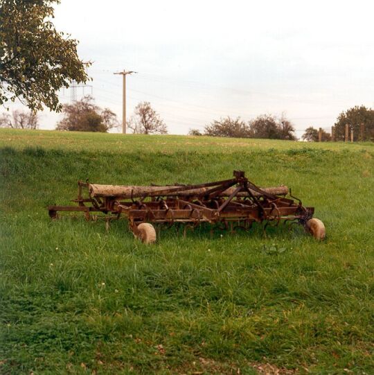 Egge auf einer Wiese bei Kieselbach