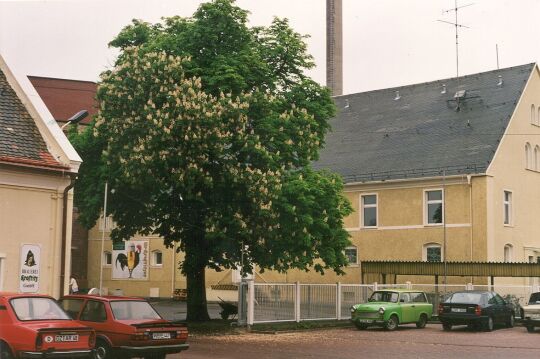 Brauerei in Krostitz