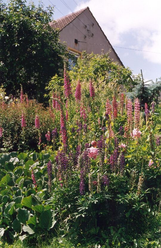 Garten in Löbnitz