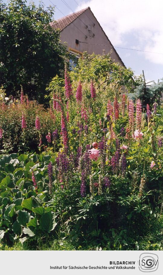 Garten in Löbnitz