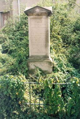 Bild: Denkmal für ein Unwetter in Wachwitz