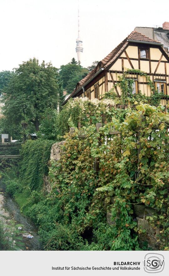 Wohnhaus in Wachwitz mit Blick zum Fernsehturm