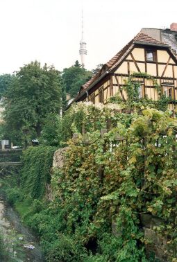 Bild: Wohnhaus in Wachwitz mit Blick zum Fernsehturm
