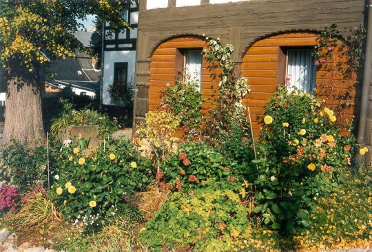 Blockstube mit Umgebinde in Saupsdorf