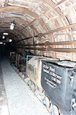 Bild: Hunte im Heimatmuseum in Freital