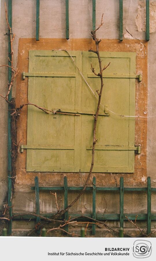 Alter Fensterladen in Pillnitz