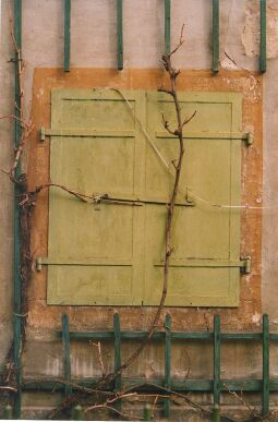 Bild: Alter Fensterladen in Pillnitz