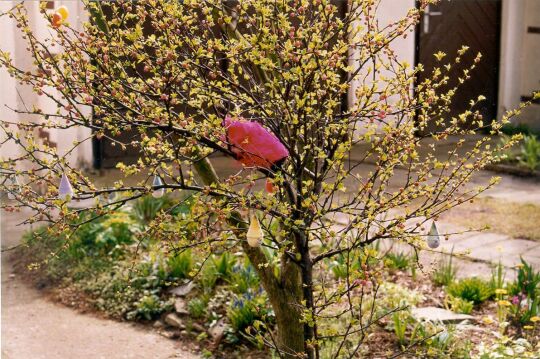 Osterschmuck im Garten