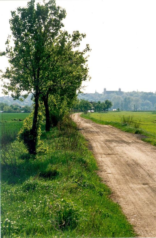 Blick auf Lorenzkirch