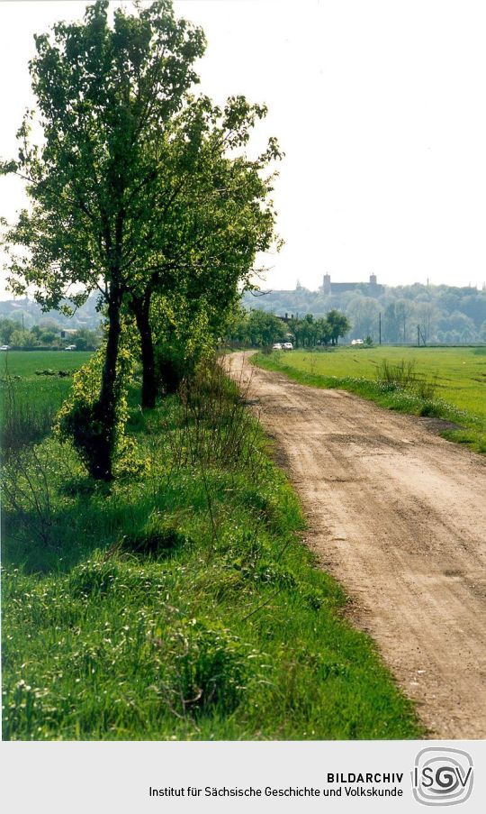 Blick auf Lorenzkirch