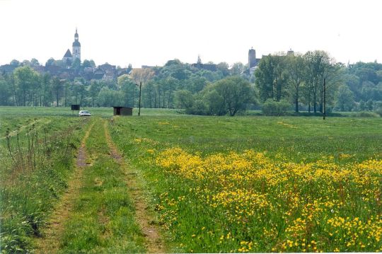 Blick auf Strehla