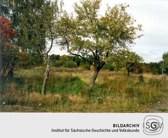 Ehemaliger Obstgarten auf dem Gelände des abgerissenen Dorfes Viereichen