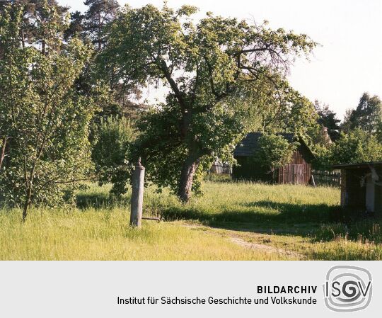 Obstgarten in Weißkeißel