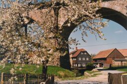 Bild: Straßenraum in Obercunnersdorf