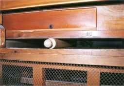 Bild: Ansicht eines Kellers