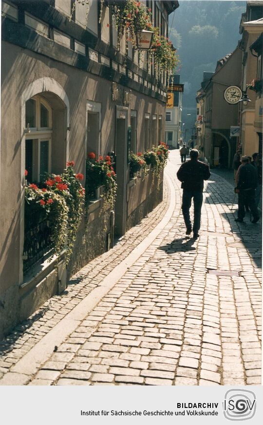 Straßenzug in Bad Schandau