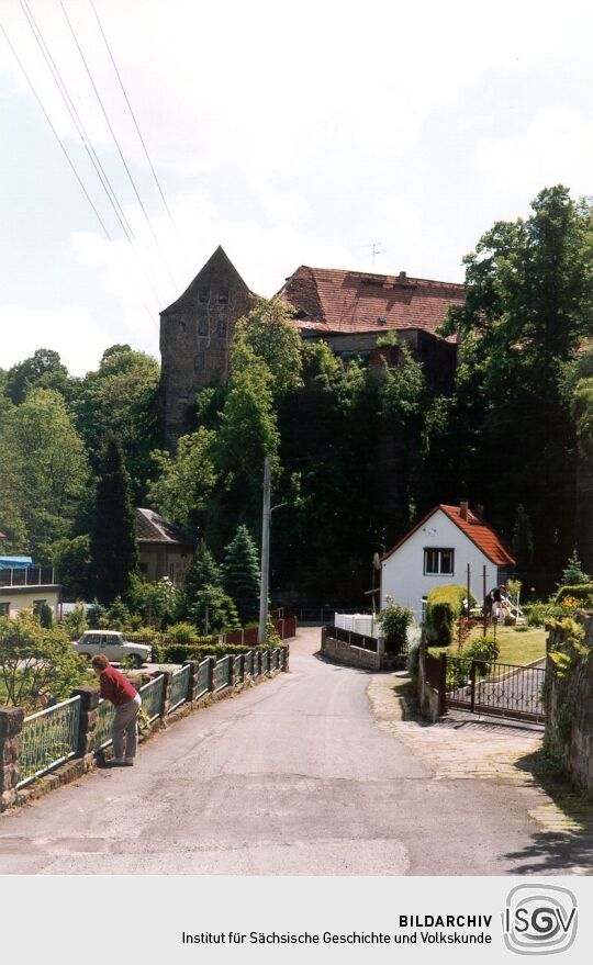 Blick zur Burg in Lohmen