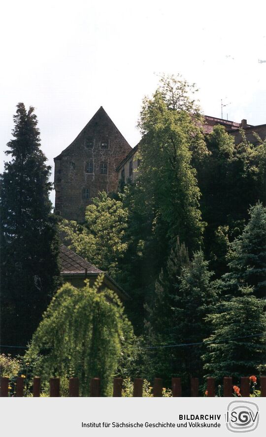 Blick zur Burg in Lohmen