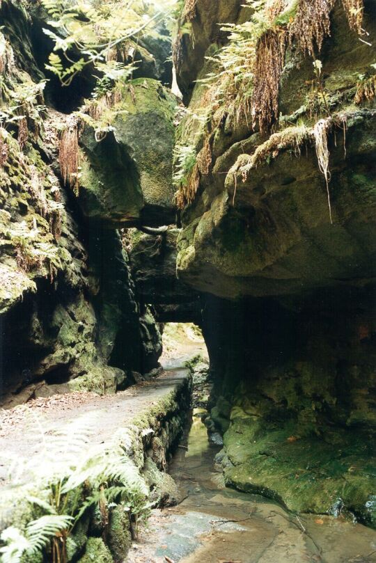 Felsentor im Uttewalder Grund