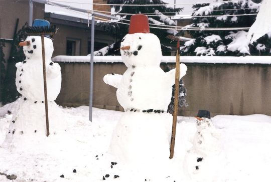 Scheefamilie in einem Garten in Schmerlitz