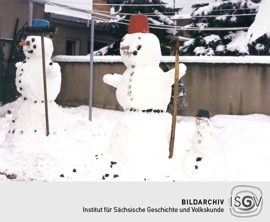 Scheefamilie in einem Garten in Schmerlitz