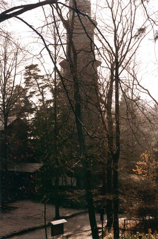 Blick zum Aussischtsturm auf dem Pfaffenstein