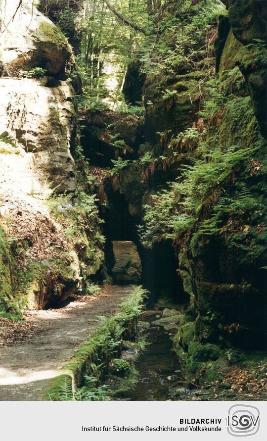 Felsentor im Uttewalder Grund