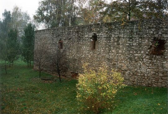 Reste einer Burg in Schweinsburg