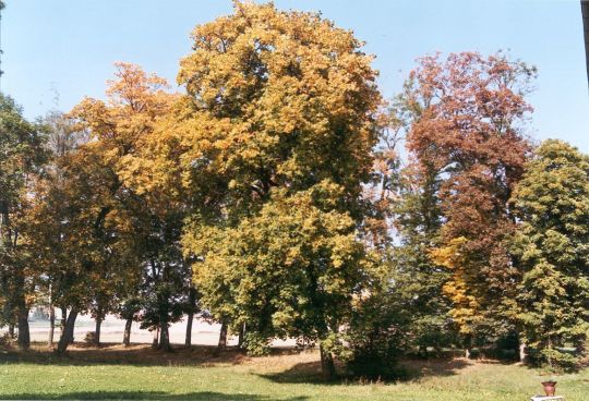 Park des ehemaligen Rittergutes in Posseck