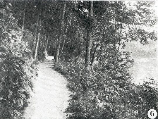 Landschaftsdarstellung der Sächsischen Schweiz